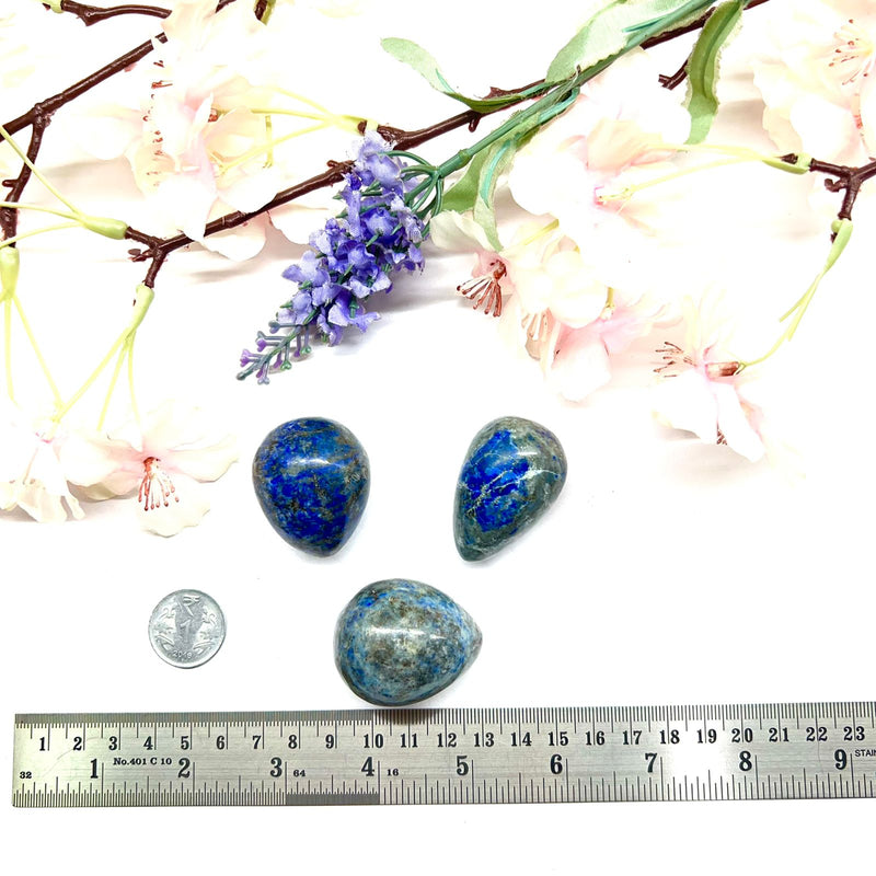 Lapis Lazuli Egg (Expression)