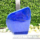 Lapis Lazuli Polished Free Forms (Knowledge & Communication)