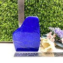 Lapis Lazuli Polished Free Forms (Knowledge & Communication)