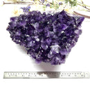 Large Amethyst Clusters in AAA Extra Quality from Brazil