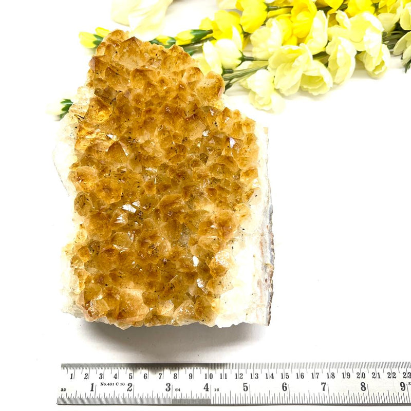 Large Citrine Clusters (Career and Business)