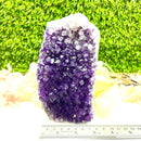 Large Standing Amethyst Clusters from Uruguay AAA Quality (High Vibrations)