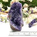 Large Standing Amethyst Clusters from Uruguay AAA Quality (High Vibrations)