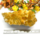 Large Citrine Clusters (Career and Business)