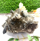 Large Smoky Quartz Clusters from Brazil