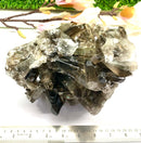 Large Smoky Quartz Clusters from Brazil