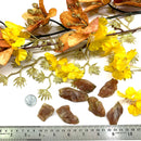 Lattice Sunstone Rough (Fearlessness)