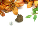 Lava Rough (Anger Release & Grounding)