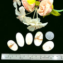 Lemon Chrysoprase Cabochon (Self Love & Self Esteem)