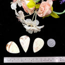 Lemon Chrysoprase Cabochon (Self Love & Self Esteem)