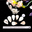 Lemon Chrysoprase Cabochon (Self Love & Self Esteem)