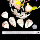 Lemon Chrysoprase Cabochon (Self Love & Self Esteem)