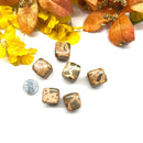 Leopardite Tumbles (Universal Peace)