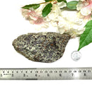 Leopard Skin Jasper Rough (Nurturing & Vitality)