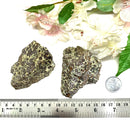 Leopard Skin Jasper Rough (Nurturing & Vitality)