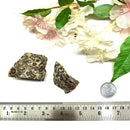 Leopard Skin Jasper Rough (Nurturing & Vitality)