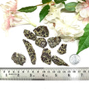 Leopard Skin Jasper Rough (Nurturing & Vitality)