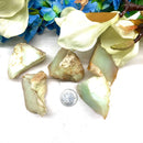 Macedonia Green Opal / Chrysopal Rough (Inner Joy and Harmony)