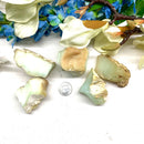 Macedonia Green Opal / Chrysopal Rough (Inner Joy and Harmony)