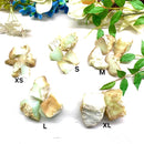 Macedonia Green Opal / Chrysopal Rough (Inner Joy and Harmony)