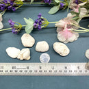 Magnesite Rough (Psychic Vision)