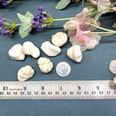 Magnesite Rough (Psychic Vision)