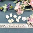 Magnesite Rough (Psychic Vision)