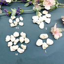 Magnesite Rough (Psychic Vision)