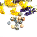 Maligano Jasper Tumbles (Helps in Letting go)