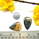 Maligano Jasper Cabochon