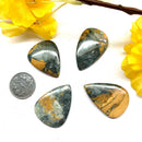 Maligano Jasper Cabochon