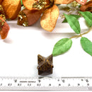 Mariyam Jasper Merkaba