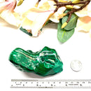 Malachite Medium Sized Free Forms