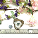 Merlinite / Dendritic Agate Rough (Awareness of shadow self)