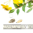 Montana Agate cabochon (Balance and Calm)