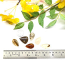 Montana Agate cabochon (Balance and Calm)