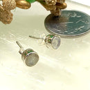 Moonstone Earrings in Silver