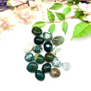 Moss Agate Tumbled Stone (Prosperity)