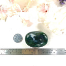 Moss Agate Palmstone (Abundance & Balance)