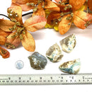 Moss Chalcedony Rough (Mental & Emotional Balance)
