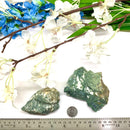 Moss Agate Rough (Prosperity and Growth)