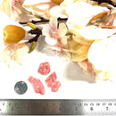 Argentina Rhodochrosite Multi Circular Slices (Self Love)