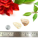 Multi Crazy Lace Agate Cabochon