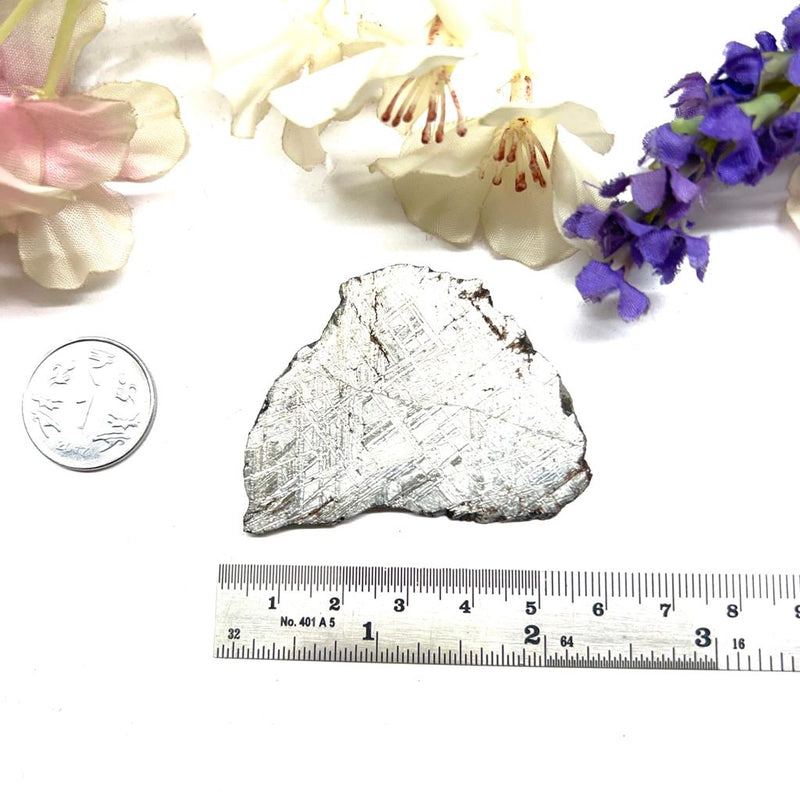 Muonionalusta Meteorite