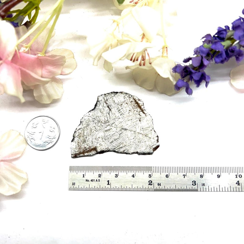 Muonionalusta Meteorite