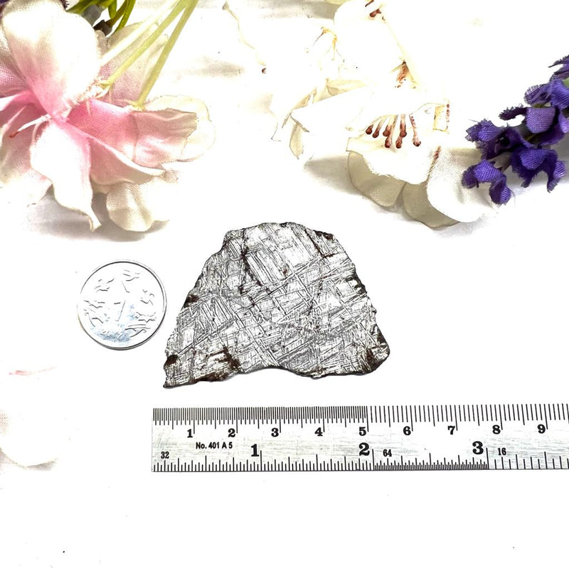 Muonionalusta Meteorite