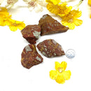 Noreena Jasper Rough (Brazil) (Security & Survival)