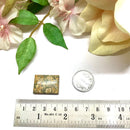 Orbicular Jasper Cabochon (Patience)