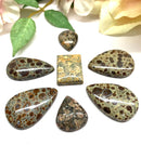 Orbicular Jasper Cabochon (Patience)