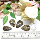 Orbicular Jasper Cabochon (Patience)